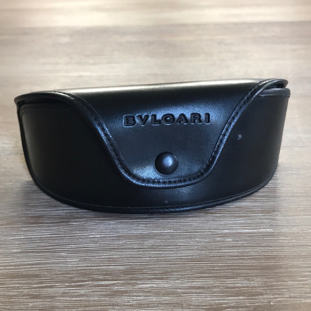 Bulgaria Case